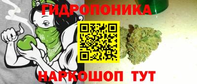 2c-b Гатчина