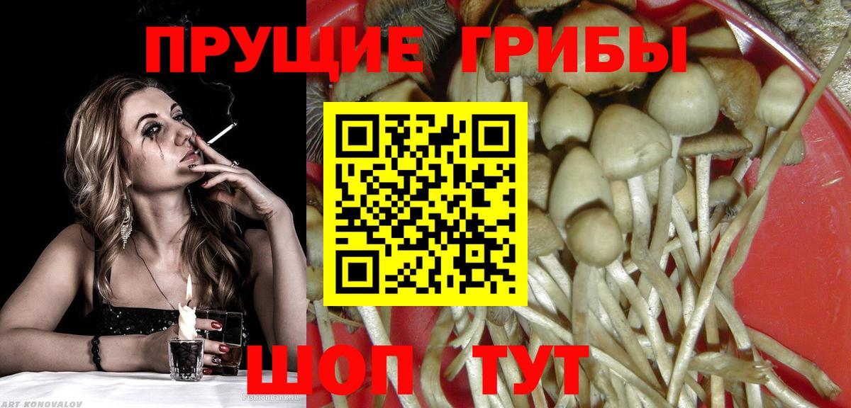 даркнет сайт  Вход с VPN  Галлюциногенные грибы Psilocybine cubensis  Ревда  Псилоцибиновые грибы Magic Shrooms 
