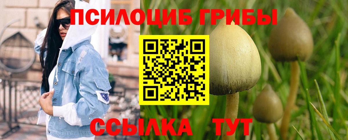 Галлюциногенные грибы мицелий Ревда